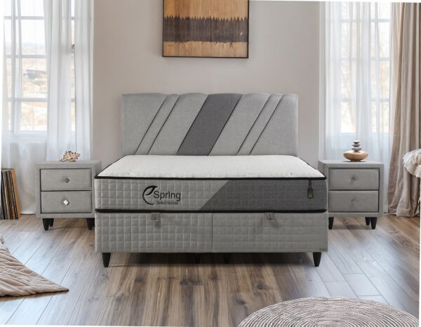 SPRİNG SET (160 x 200)